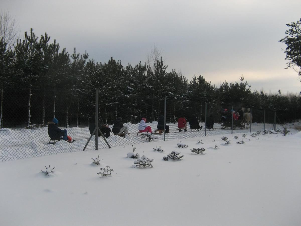 Lesny Dworek Snochowice エクステリア 写真